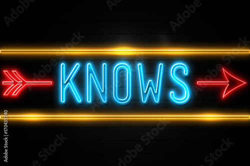 Knows - fluorescent Neon Sign on brickwall Front view