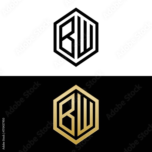 initial letters logo bw black and gold monogram hexagon shape vector