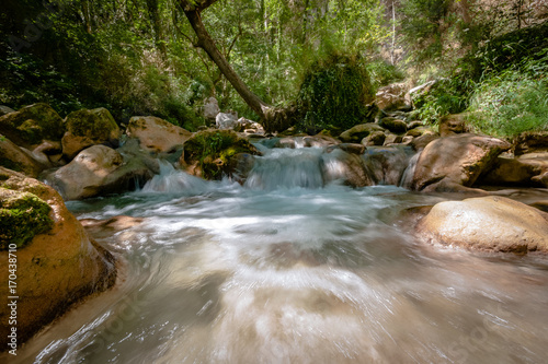 Fast-flowing mountain river in the European Alps