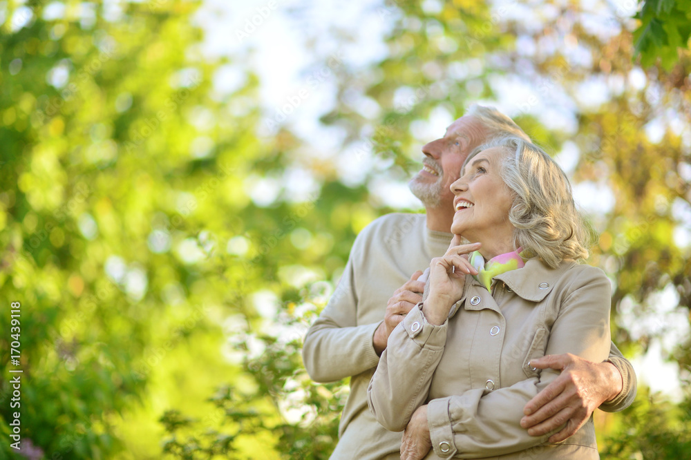 caucasian senior couple in the park caucasian senior couple in the park