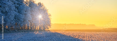 Vászonkép Winter in East Frisia