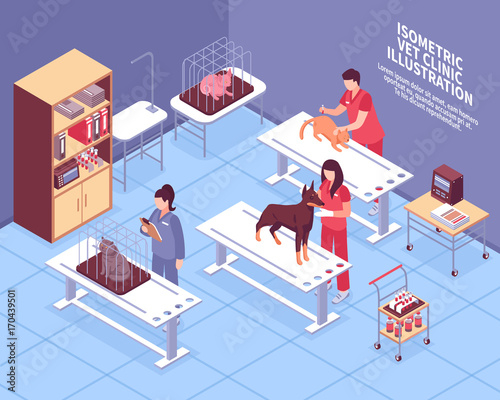 Isometric Veterinary Composition