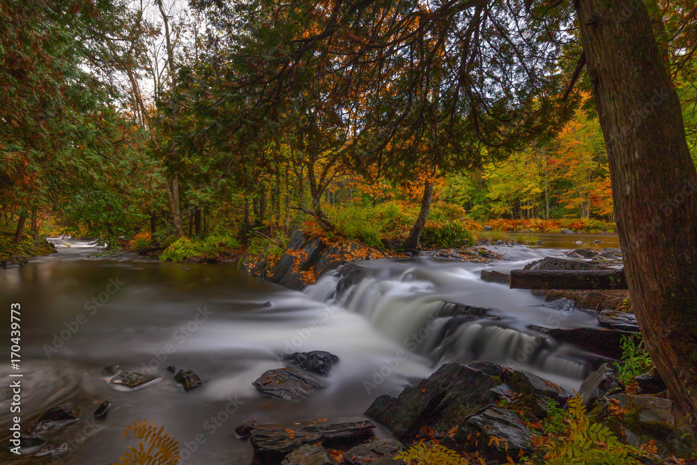 Obraz premium Fall At Cordova