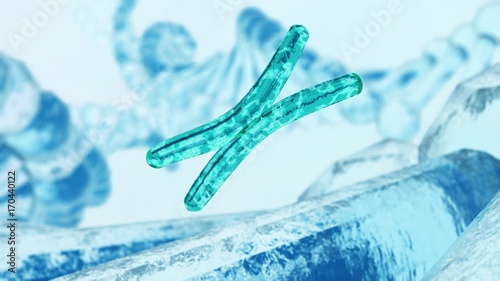 X chromosome, DNA, 3d rendering photo