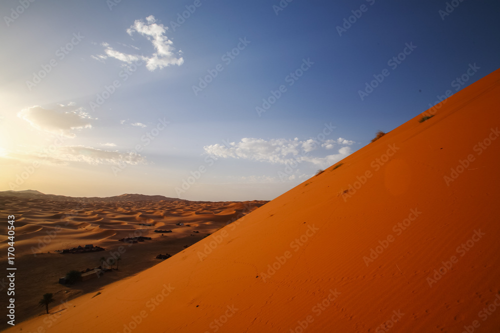Camp of Camel caravan going through the sand dunes in the Sahara Desert, Marrakech,Morocco.Africa
