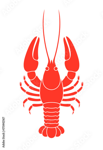 Red crayfish. Isolated crayfish on white background