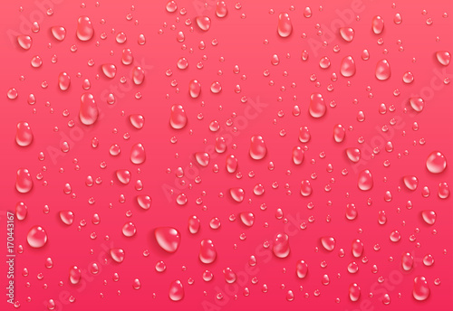 Realistic transparent water drops. Pure condensed droplets on bright pink background. Wet surface and clear liquid formed by condensation. Vector illustration.