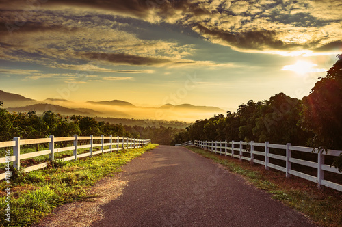 The road enters the farm in the morning with a beautiful light 