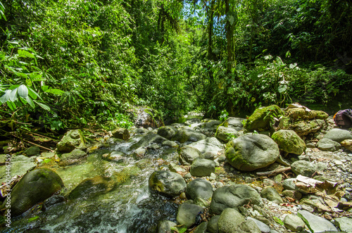 Beautiful creek flowing inside of a green forest with stones in river at Mindo