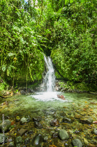 Beautiful small waterfall in green forest with stones in river at Mindo