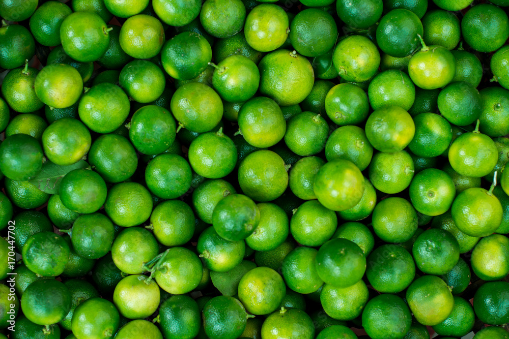 Green lime background Green lime background