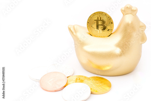 Golden bitcoin coin on gold chicken money box with copyspace and pile coins on white background.