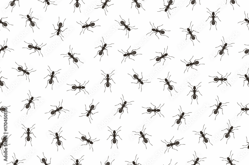 Seamless pattern ants