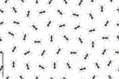 Seamless pattern ants