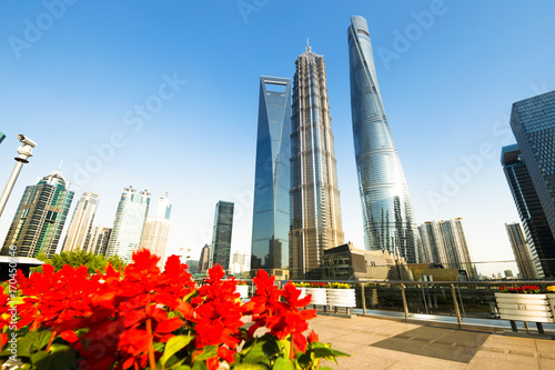 Photography Shanghai world financial center skyscrapers in lujiazui group