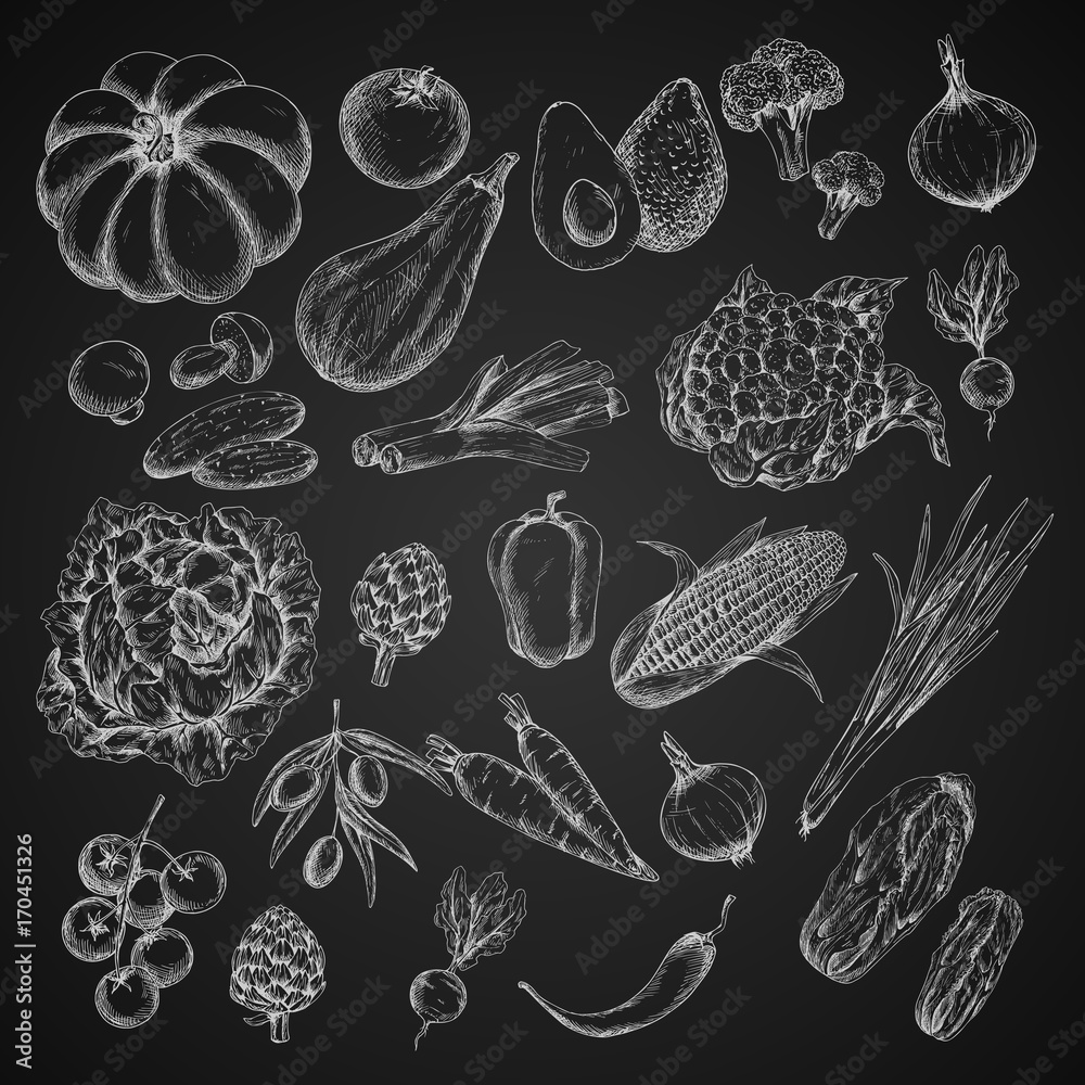 Fototapeta Vector vegetables chalk sketch icons set