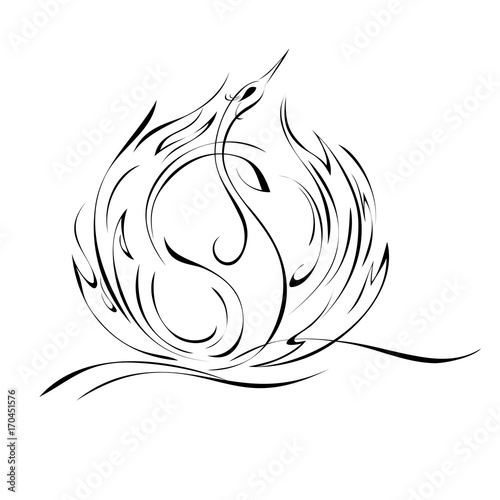 swan 4. graceful Swan floating on the water