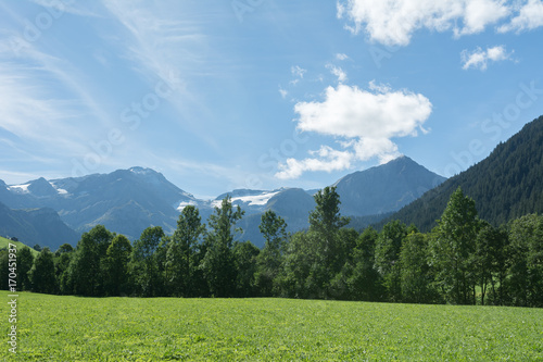 Alpenkette im Sommer
