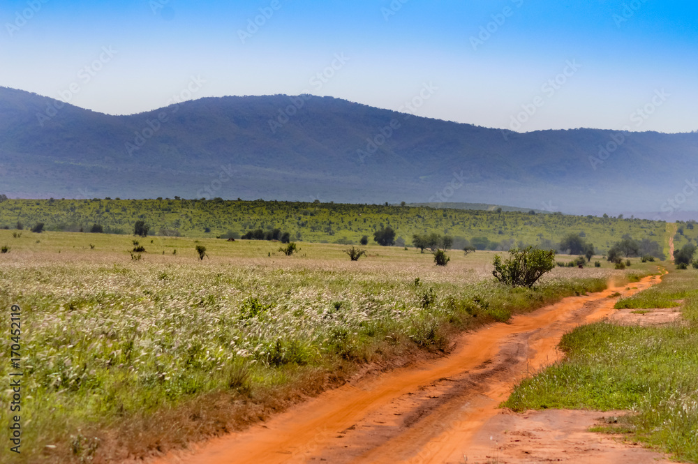 Fototapeta premium View of the Tsavo East savannah