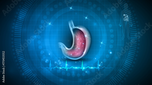 Stomach health care blue abstract background, normal cardiogram at the bottom line and human silhouette with internal organs
