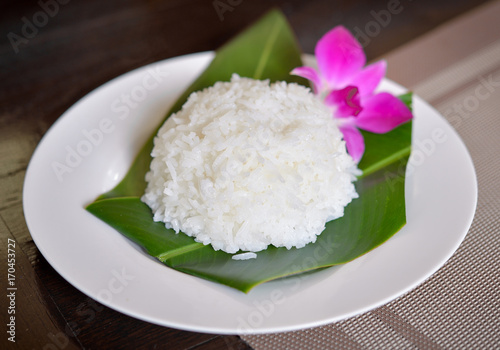 Plate of Rice (Thai Jasmine rice)