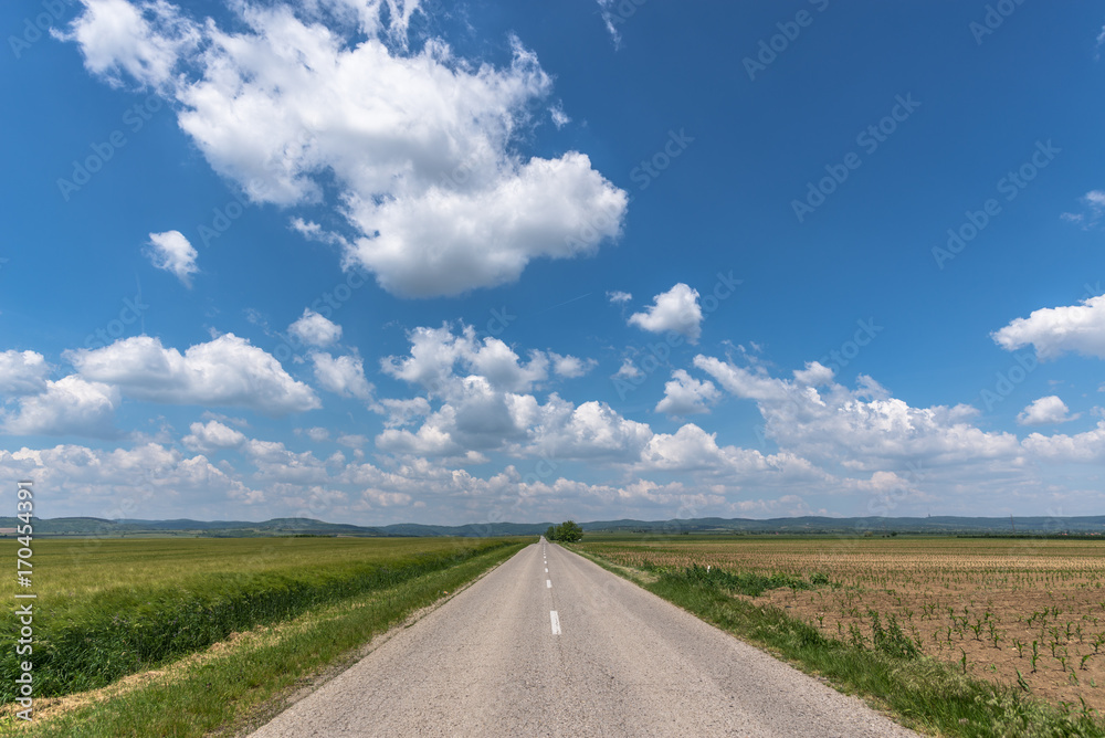 Fototapeta premium Road