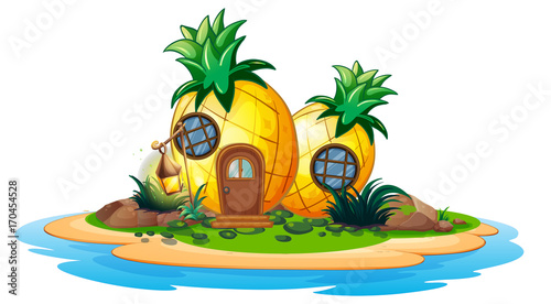 Pineapple house on island