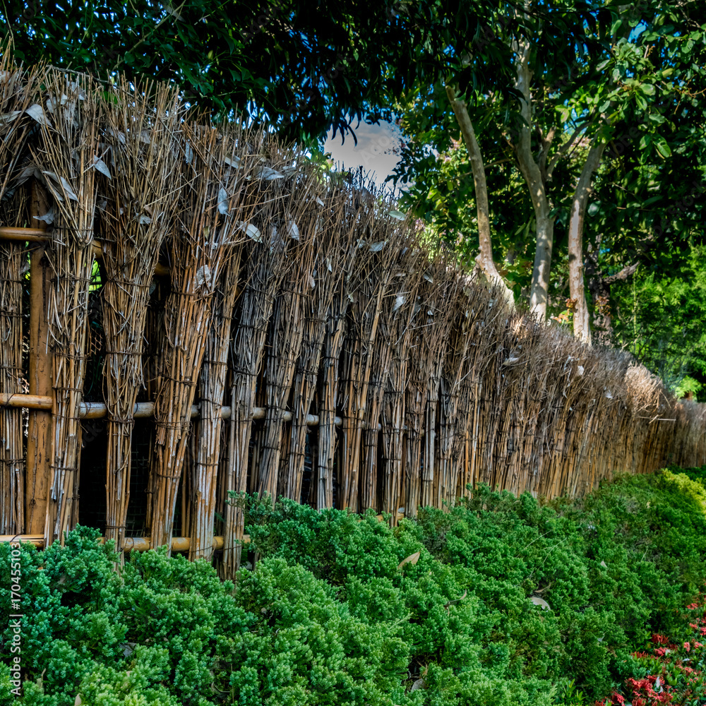 Fototapeta premium Bamboo fence of Japanese garden