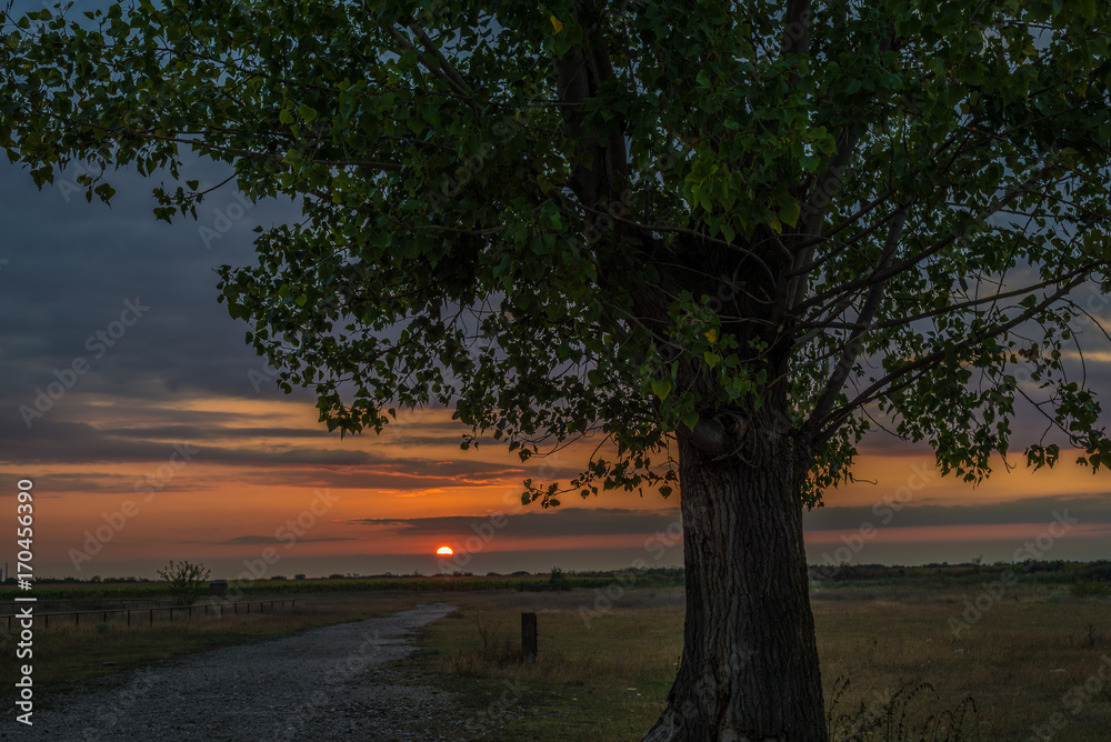Fototapeta premium Sunset