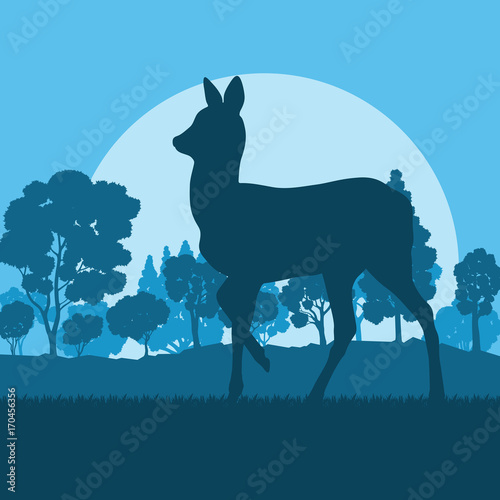 Roe deer in forest field with sunset and trees vector background