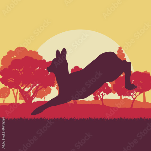Roe deer in forest field with sunset and trees vector background