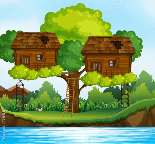 Two treehouses on the tree by the river