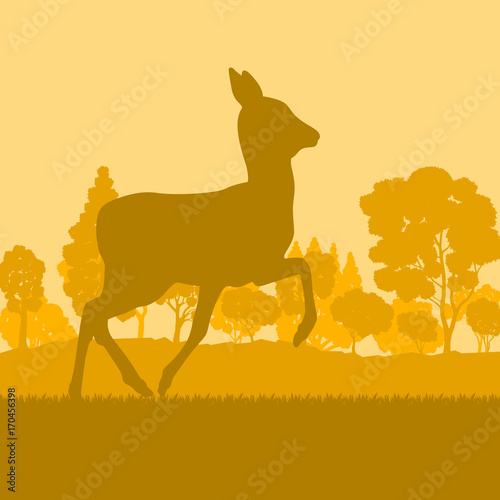 Roe deer in forest field with sunset and trees vector background