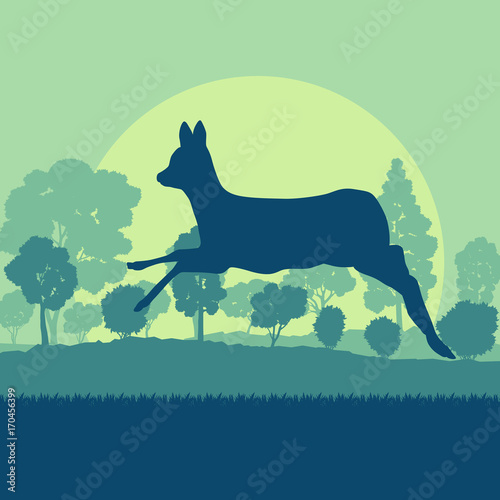 Roe deer in forest field with sunset and trees vector background