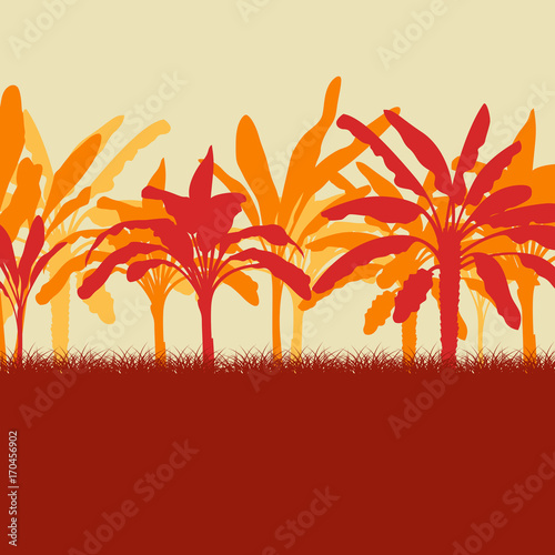 Raw banana tree farm field vector