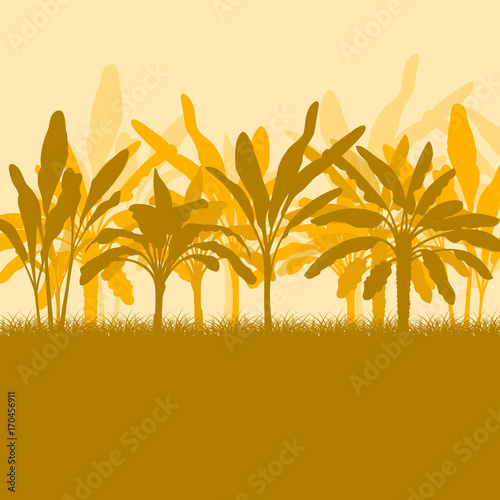 Raw banana tree farm field vector