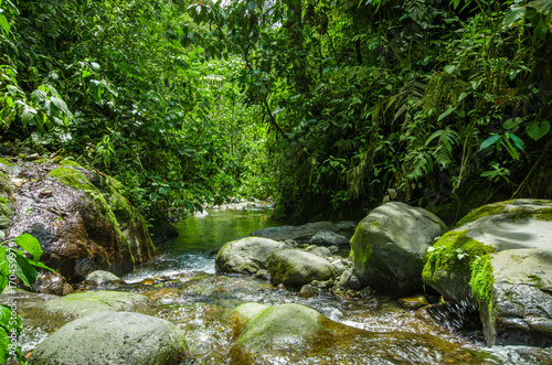 Beautiful creek flowing inside of a green forest with stones in river at Mindo