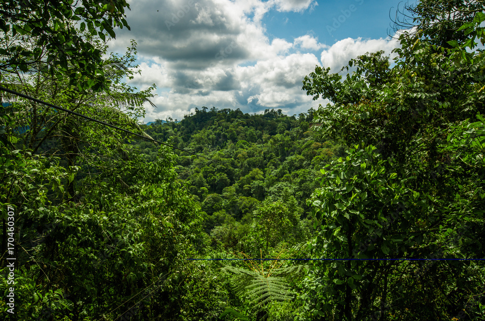 Beautiful landscape of the forest in Mindo, in gorgeous cloudy sky
