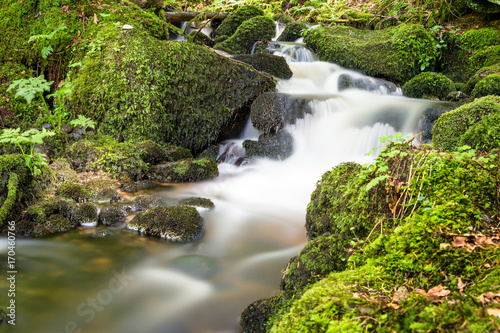 Wasserfall in Triberg im Schwarzwald Wasserf  lle 