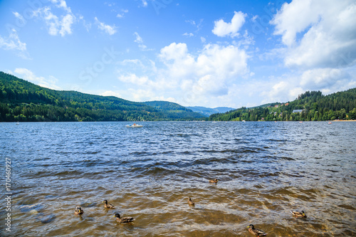 Titisee bei Neustadt im Schwarzwald camping Urlaub photo