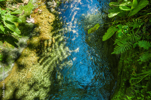 Top view of a natural pond inside of a green forest with stones in river at Mindo photo