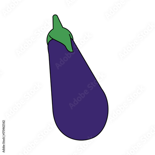 eggplant vegetable icon image vector illustration design 
