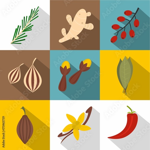 Eco spices icon set, flat style