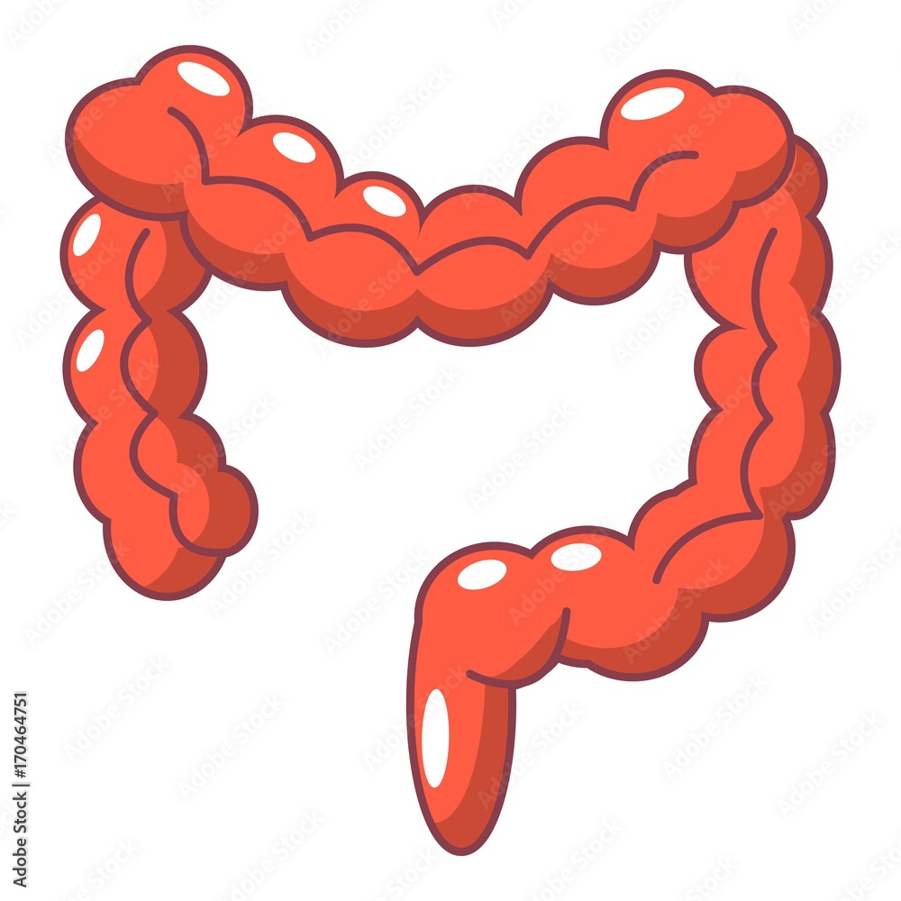 Human large intestine icon, cartoon style Stock Vector | Adobe Stock