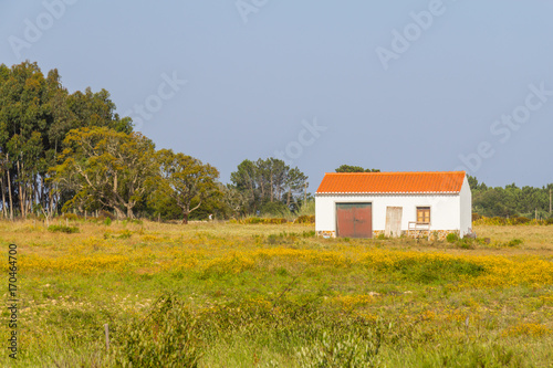 Farm House in Odeceixe
