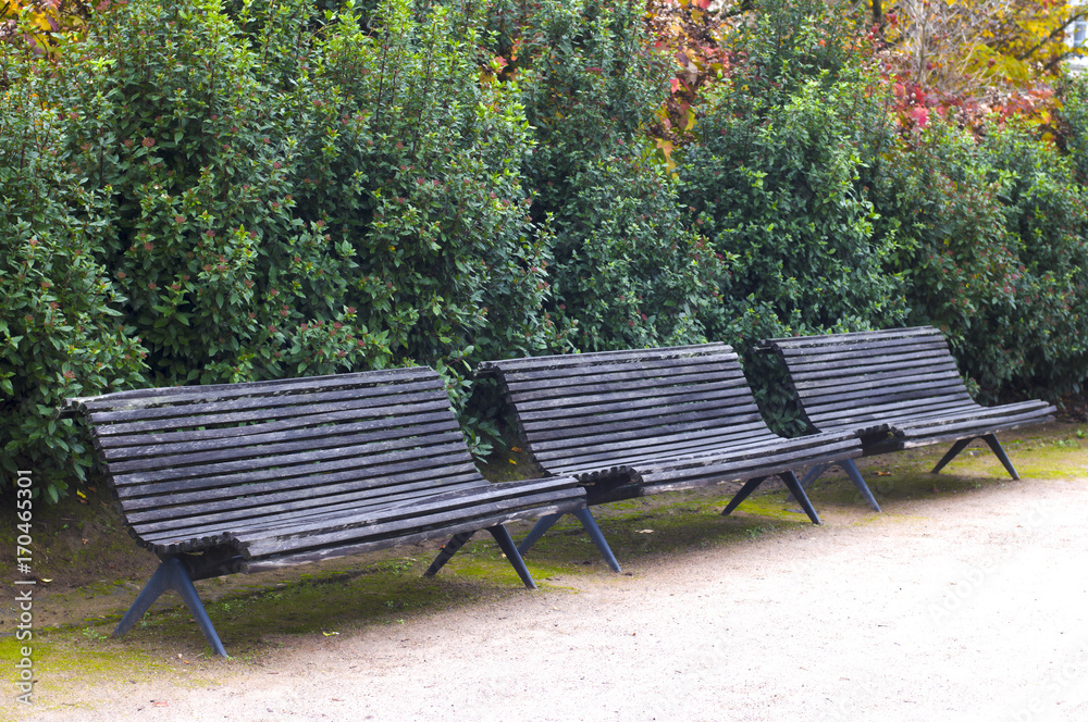 Fototapeta premium old wooden bench in the city park
