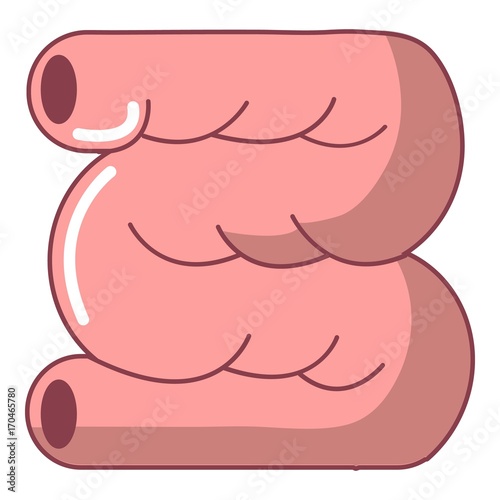 Large intestine icon, cartoon style