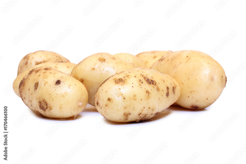 Raw potatos for eating on white background Raw potatos for eating on white background