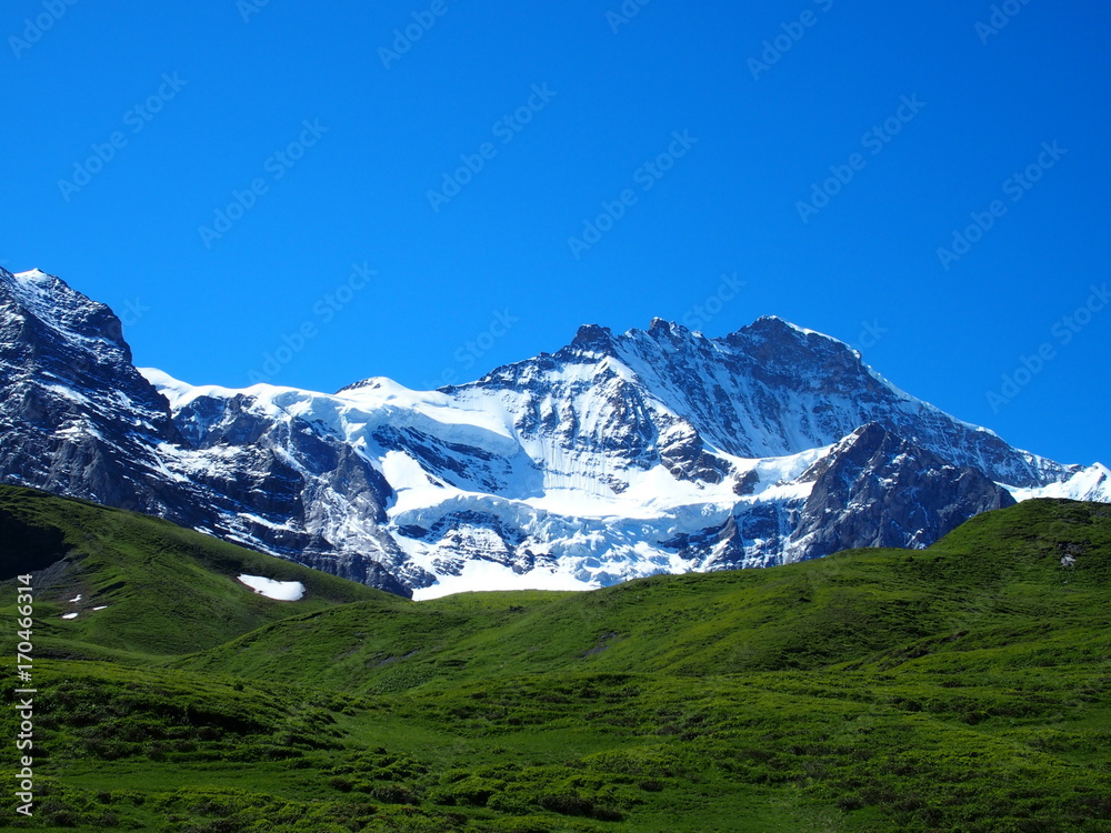 Alpine mountains range landscape near GRINDELWALD village in beauty Swiss ALPS in SWITZERLAND