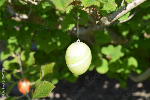 Osterei am Osterbaum